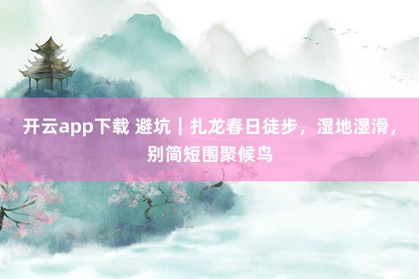 开云app下载 避坑｜扎龙春日徒步，湿地湿滑，别简短围聚候鸟