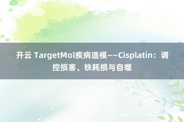 开云 TargetMol疾病造模——Cisplatin：调控损害、铁耗损与自噬