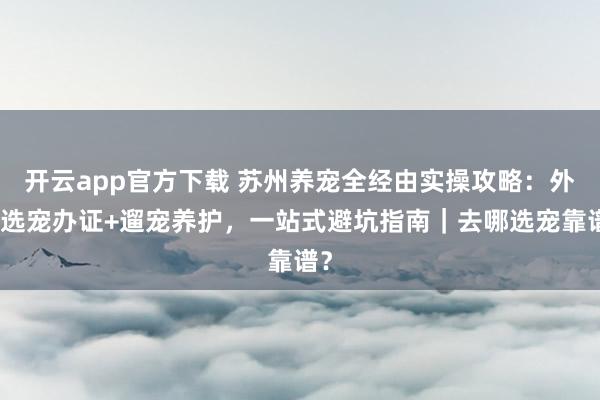 开云app官方下载 苏州养宠全经由实操攻略：外行选宠办证+遛宠养护，一站式避坑指南｜去哪选宠靠谱？