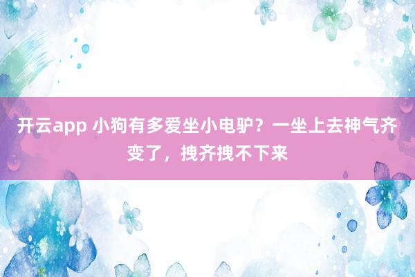 开云app 小狗有多爱坐小电驴？一坐上去神气齐变了，拽齐拽不下来
