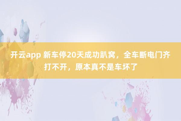 开云app 新车停20天成功趴窝，全车断电门齐打不开，原本真不是车坏了