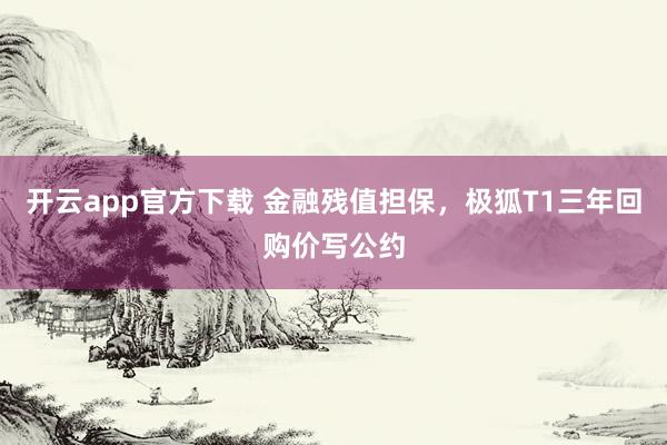 开云app官方下载 金融残值担保，极狐T1三年回购价写公约