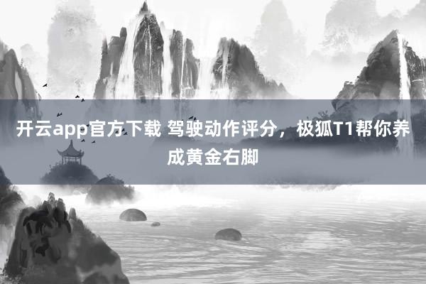 开云app官方下载 驾驶动作评分，极狐T1帮你养成黄金右脚
