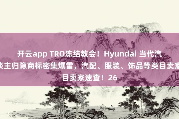 开云app TRO冻结教会！Hyundai 当代汽车与国东谈主归隐商标密集爆雷，汽配、服装、饰品等类目卖家速查！26