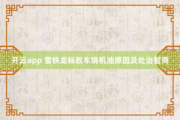 开云app 雪铁龙标致车烧机油原因及处治智商