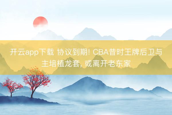开云app下载 协议到期! CBA昔时王牌后卫与主培植龙套， 或离开老东家